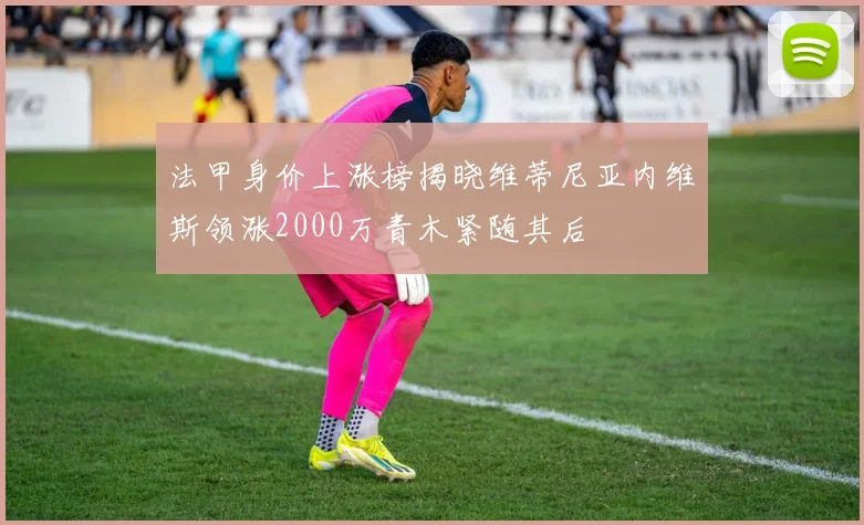 法甲身价上涨榜揭晓维蒂尼亚内维斯领涨2000万青木紧随其后