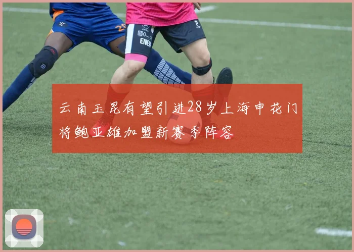 云南玉昆有望引进28岁上海申花门将鲍亚雄加盟新赛季阵容