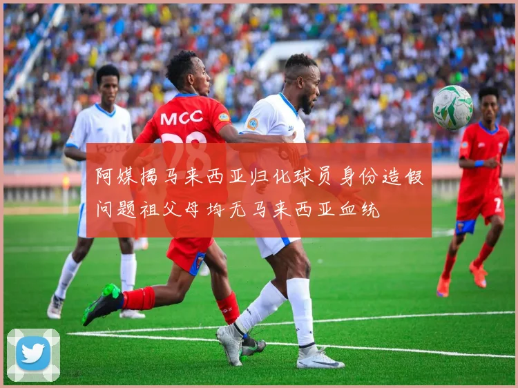 阿媒揭马来西亚归化球员身份造假问题祖父母均无马来西亚血统